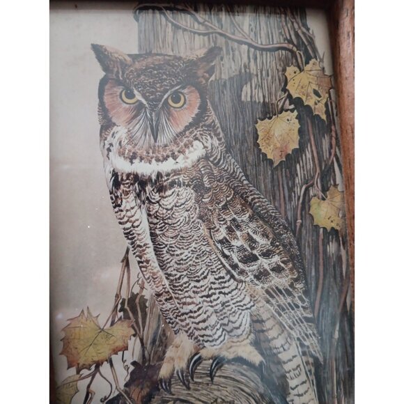 VTG Great Horned Owl by Leland Brewsaugh Print Framed Wall Hanging 7.5" x 5.5" - Picture 4 of 5
